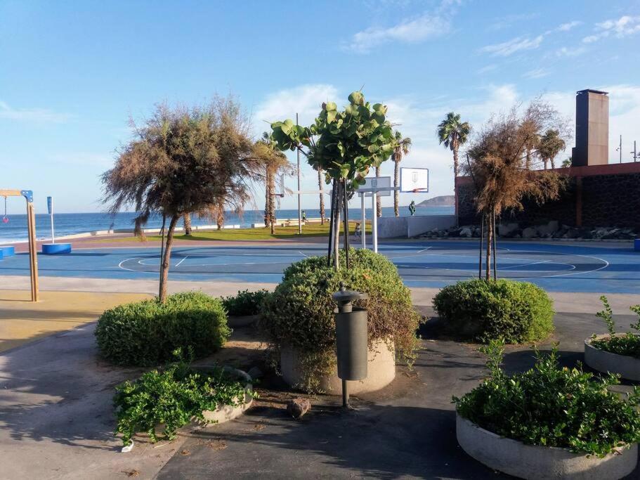 Sunny Apartment Near Las Canteras Beach Λας Πάλμας ντε Γκραν Κανάρια Εξωτερικό φωτογραφία
